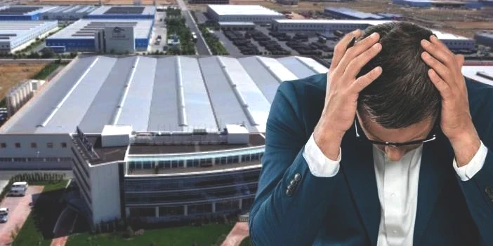 Herkes tarafından lezzetle yeniliyordu: Türkiye'de zeytin üretiminde lider firma konkordato talebinde bulundu!