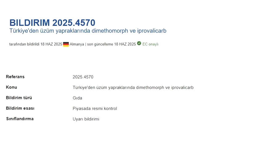 resim-2025-06-19-235648297.png